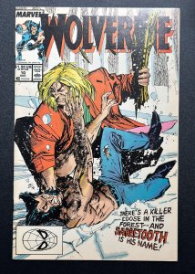 Wolverine #10 (1989) 1st Sabretooth vs Wolverine , 1st app Silver Fox - VF