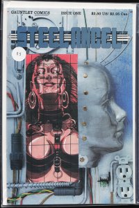 Steel Angel (1992) #1