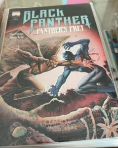 Black Panther: Panther's Prey #2 (1991) Black Panther 