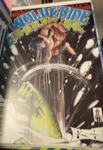 Wolverine/Hulk #2 (2002) Wolverine 