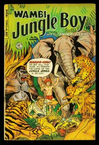 Wambi Jungle Boy #12 1951- elephant / tiger cover- fiction house- VG/FN