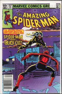 The Amazing Spider-Man #227 (1982) Spider-Man