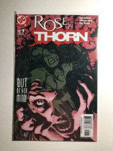 Rose & Thorn #1 (2004) Adam Hughes