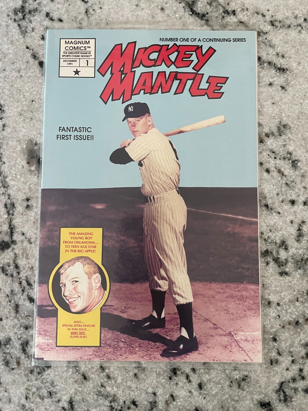 Buy the Book - The Mickey Mantle