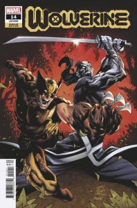 Wolverine (2020) #14 (#356) VF/NM Ryan Stegman 1:25 Variant Cover