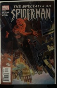 Spectacular Spider-Man #14 (2004)
