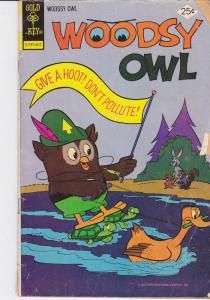 Woodsy Owl #10