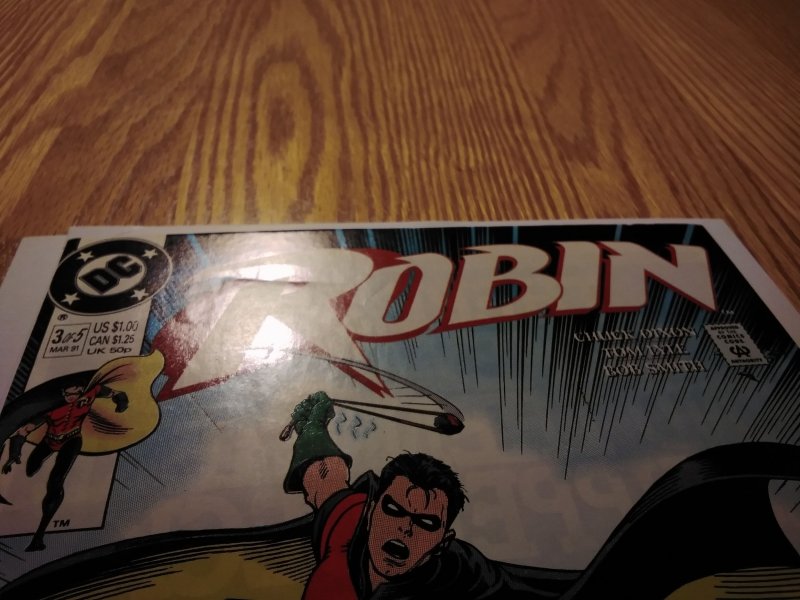 Robin #3