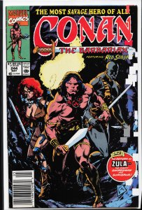 Conan the Barbarian #244 (1991) Conan