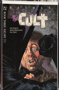 Batman: The Cult #3 (1988) Batman