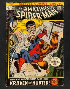 The Amazing Spider-Man #111 (1972)