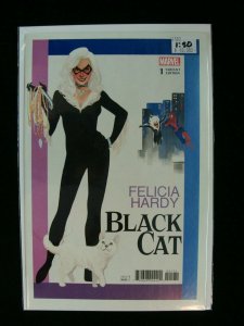 Black Cat #1 Stanley Noto 1:50 Variant Cover Felicia Hardy Spider-Man Marvel 