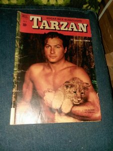 Tarzan #22 Dell Comics Aug 1951 Golden age edgar rice burroughs precode jungle