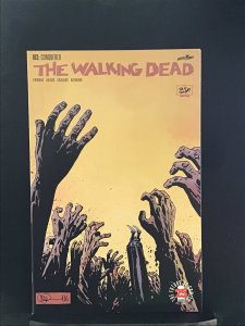 The Walking Dead #163 (2017) The Walking Dead