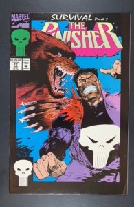 The Punisher #77 (1993)