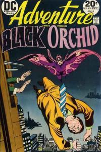 Adventure Comics (1938 series)  #430, VG (Stock photo)