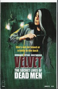 Velvet #10 (2015) Velvet