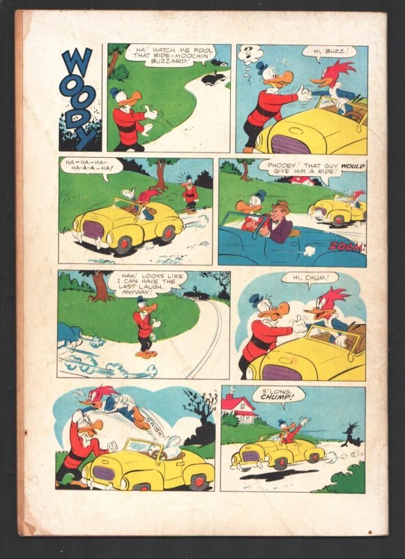 Woody Woodpecker #19  1953 - Dell  -VG- - Comic Book