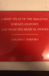 Brief atlas of the skeleton surface anatomy selected medical images