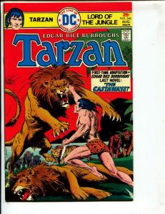 Tarzan-#240-1975-DC-BRONZE-AGE-Joe Kubert-NM-