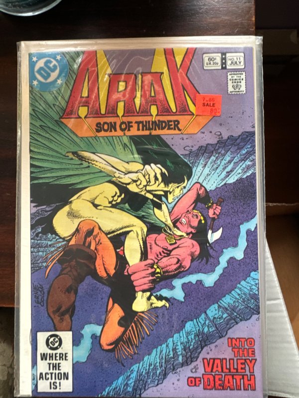 Arak, Son of Thunder #11 (1982)