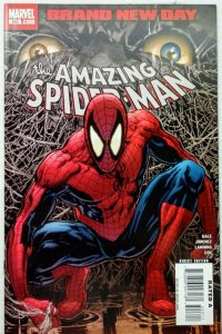 The Amazing Spider-Man #553
