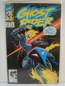 Ghost Rider #35