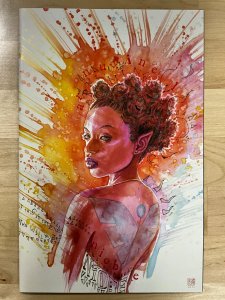 Niobe & Dura #1 David Mack Virgin
