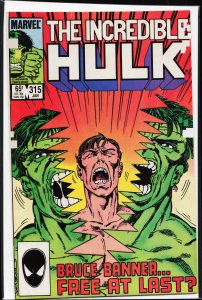 The Incredible Hulk #315 (1986) Hulk