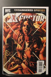 X-Factor #22 (2007)