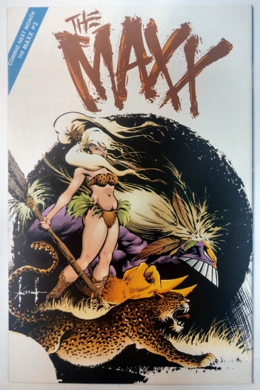 The Maxx #1 (8.0, 1993) 1st App of Maxx