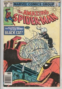 Amazing Spider-Man #205 (Jun-80) VF/NM High-Grade Spider-Man