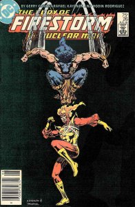 Fury of Firestorm, The #26 (Newsstand) FN ; DC | Gerry Conway Black Bison