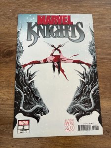 Marvel Knights # 2 NM 1st Print Variant Cover Marvel Comic Book Elektra 13 J286
