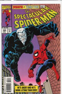 The Spectacular Spider-Man #204 (1993) Spider-Man