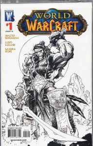 World of Warcraft #1 Second Print Cover (2008)