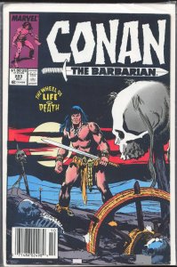 Conan the Barbarian #223 (1989) Conan