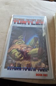Teenage Mutant Ninja Turtles #19