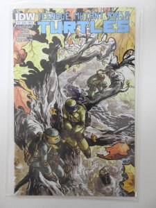 Teenage Mutant Ninja Turtles #29 (2013)