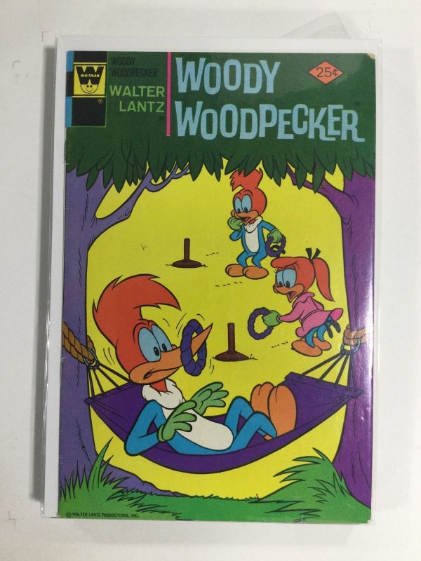 Walter Lantz Woody Woodpecker #148 (1976) FN3B119 FINE FN 6.0