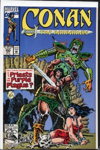 Conan the Barbarian #255 (1992) Conan