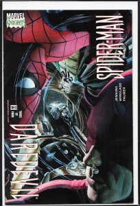 Daredevil/Spider-Man #3 (2001) Spider-Man