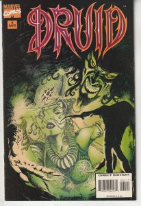 Druid #4 (1995)