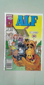 ALF #2 (1988)