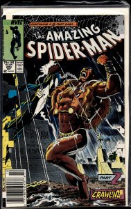 The Amazing Spider-Man #293 (1987) Spider-Man