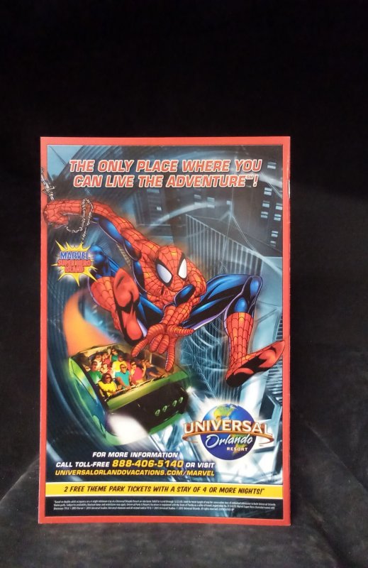 The Punisher: MAX #23 (2005)