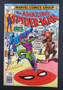 Amazing Spider-Man (1963) #177 FN/VF (7.0)