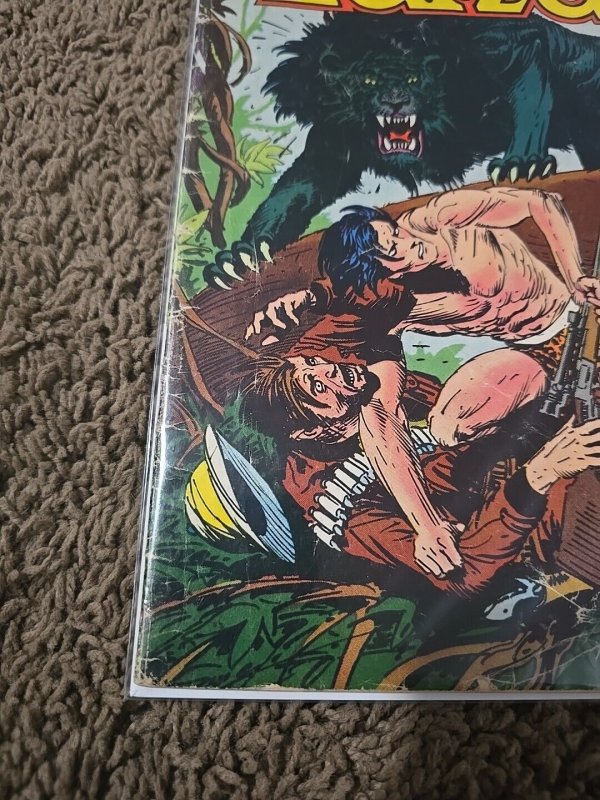 Tarzan #218 (DC Comics March 1973)