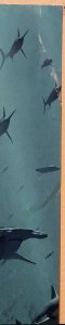 Jason Momoa 2018 Aquaman Movie Folded Promo Poster 17x11.5 New! [FP188]