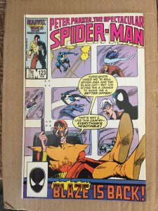 Peter Parker, The Specular Spider-Man #123